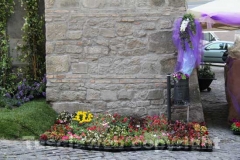 Viterbo in fiore