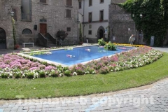 Viterbo in fiore