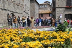 Viterbo in fiore