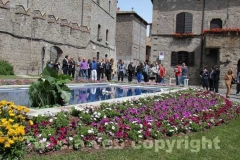 Viterbo in fiore