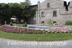 Viterbo in fiore