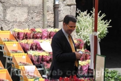 Viterbo in fiore