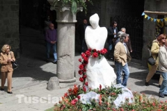 Viterbo in fiore