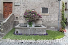 Viterbo in fiore