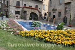 Viterbo in fiore