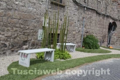 Viterbo in fiore