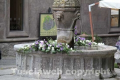 Viterbo in fiore