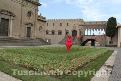 Viterbo in fiore