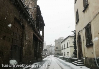 Maltempo - La neve a Viterbo