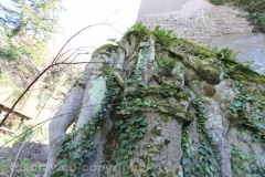 Viterbo - La villa dei misteri