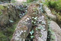 Viterbo - La villa dei misteri