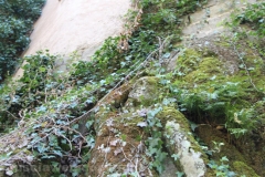 Viterbo - La villa dei misteri