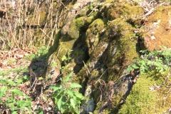 Viterbo - La villa dei misteri