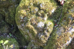 Viterbo - La villa dei misteri