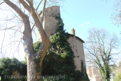 Viterbo - La villa dei misteri