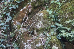 Viterbo - La villa dei misteri