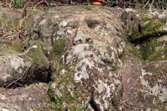 Viterbo - La villa dei misteri