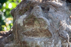 Viterbo - La villa dei misteri