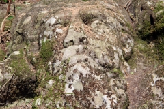 Viterbo - La villa dei misteri