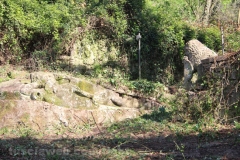 Viterbo - La villa dei misteri