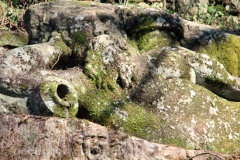 Viterbo - La villa dei misteri