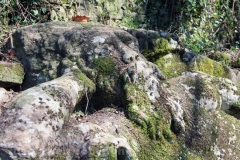 Viterbo - La villa dei misteri