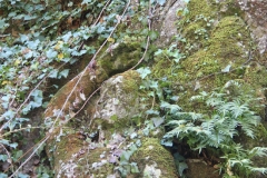 Viterbo - La villa dei misteri