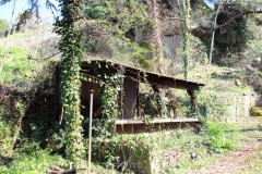 Viterbo - La villa dei misteri