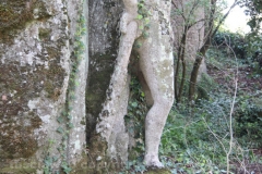 Viterbo - La villa dei misteri