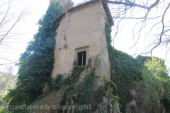 Viterbo - La villa dei misteri