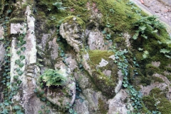 Viterbo - La villa dei misteri