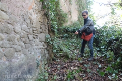 Viterbo - La villa dei misteri