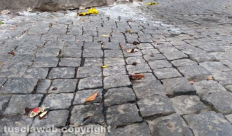 Viterbo - Paura in pieno centro storico, esplode bomba incendiaria artigianale