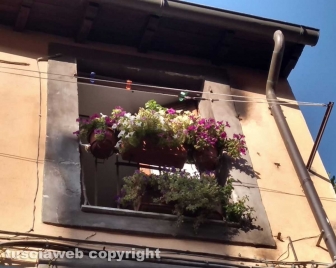 Viterbo - Paura in pieno centro storico, esplode bomba incendiaria artigianale