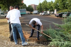 Viterbo pulita a Santa Barbara