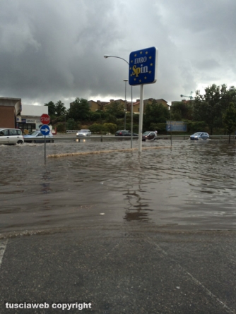 Eurospin - Francesca Rossi