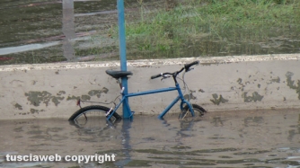 Viterbo sotto l\'acqua, le foto dei lettori - Giuseppina Danti