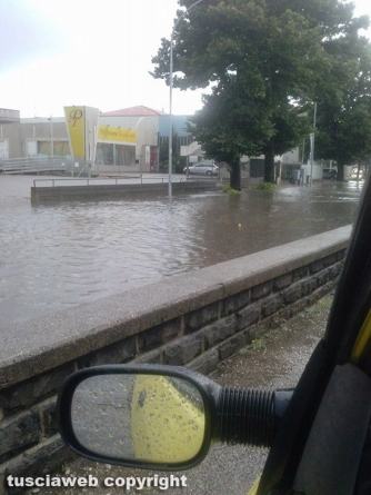 Viterbo sotto l\'acqua, le foto dei lettori - Marco di Traglia Teoli
