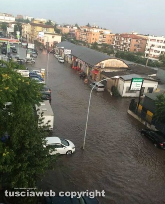 Viterbo sotto l\'acqua - La Teverina