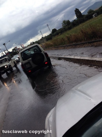 Tuscanese - Fabrizio Rocchi