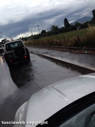 Tuscanese - Fabrizio Rocchi