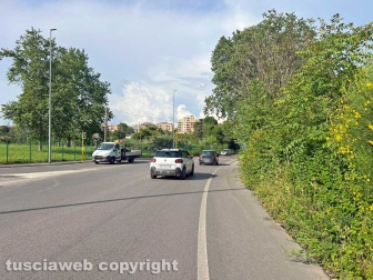 Viterbo sud invasa dall'erba alta