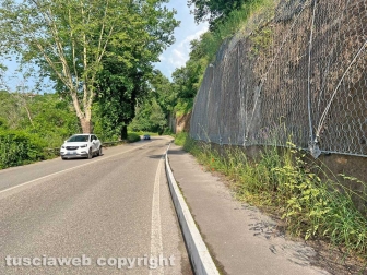 Viterbo sud invasa dall'erba alta