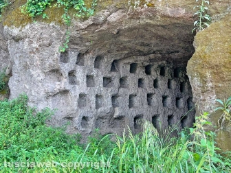 Viterbo sud invasa dall'erba alta