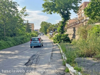 Viterbo sud invasa dall'erba alta