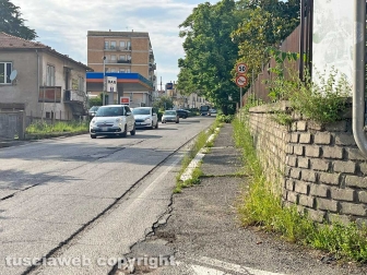 Viterbo sud invasa dall'erba alta