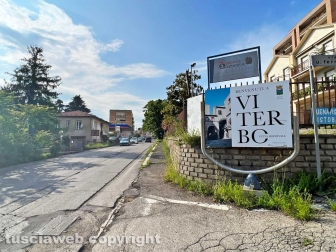Viterbo sud invasa dall'erba alta