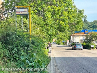 Viterbo sud invasa dall'erba alta