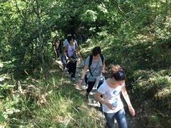 Santa Rosa - Vitorchiano - In cammino sulle vie dell’esilio - 2013