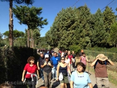 Santa Rosa - Vitorchiano - In cammino sulle vie dell’esilio - 2013